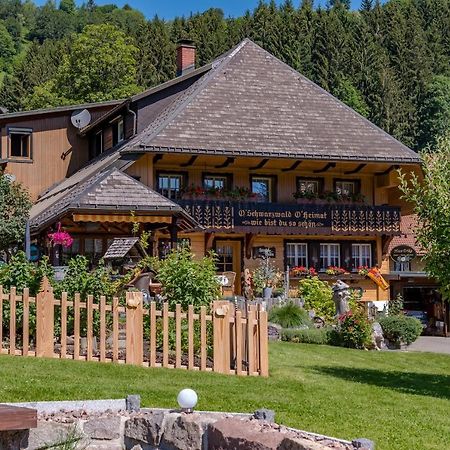Haus Erika Hotel Wieden Kültér fotó