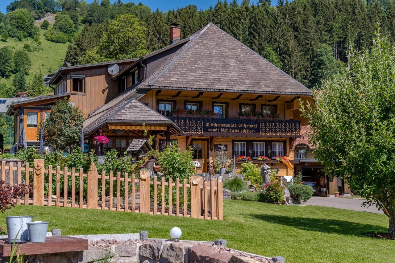Haus Erika Hotel Wieden Kültér fotó